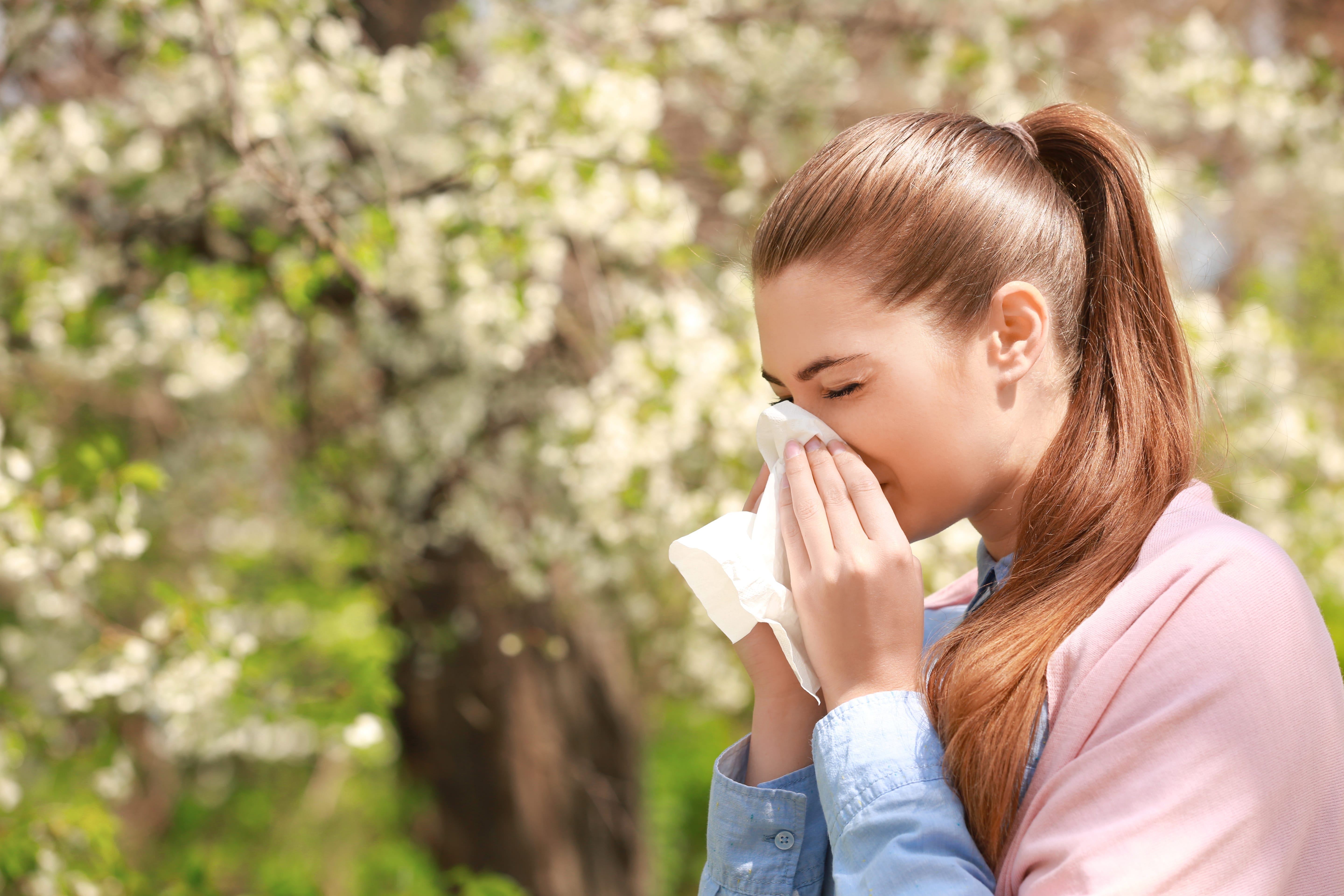 Richardson Dentist Explains The Link Between Allergies And Toothaches ...